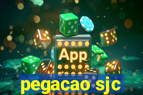 pegacao sjc